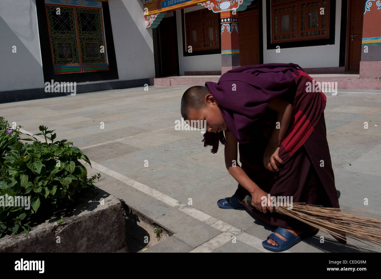 Le moine bouddhiste accomplit son devoir de les balayer, monastère au Sikkim, Inde Banque D'Images