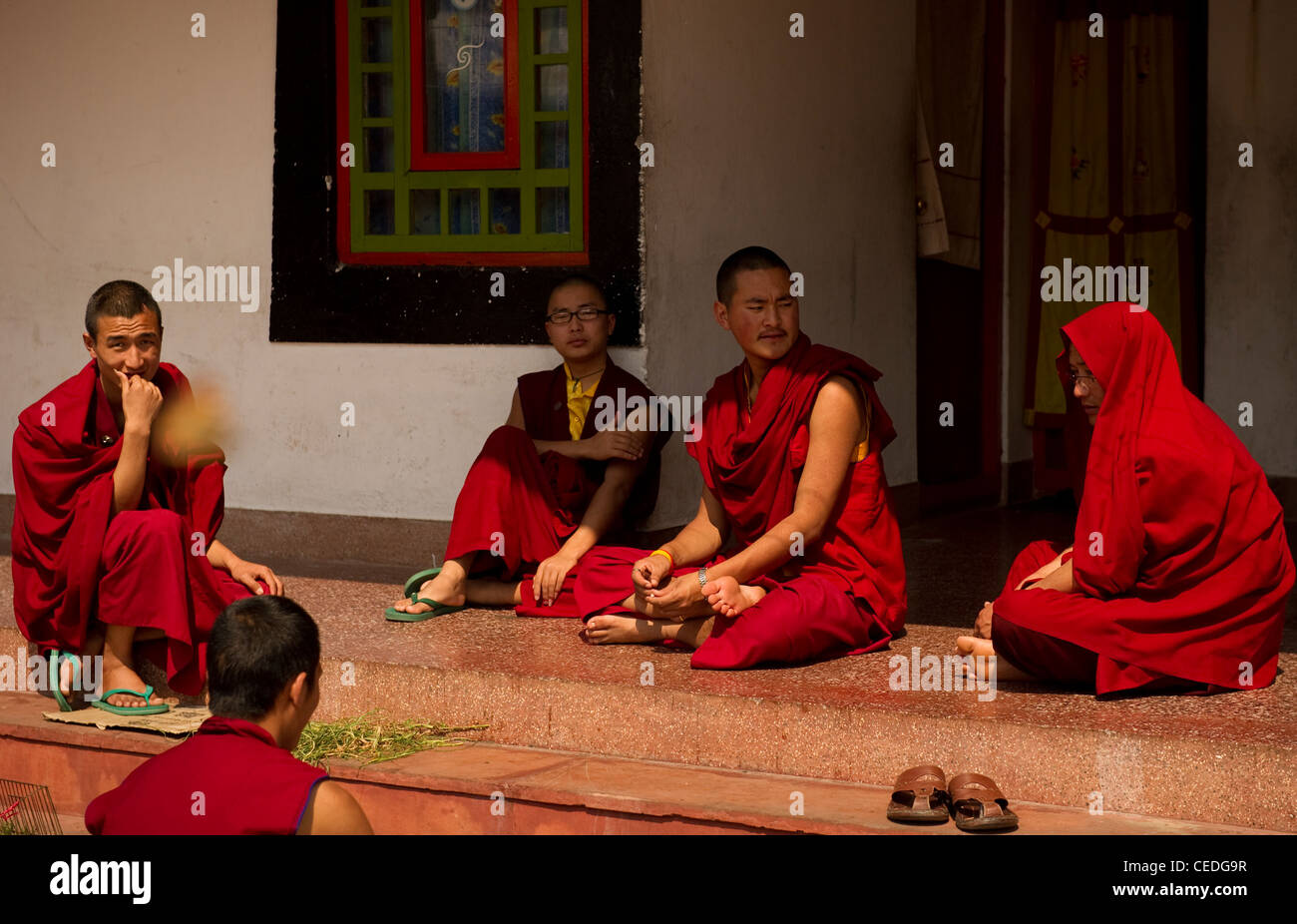 Les moines Bouddhistes en pleine discussion dans le Sikkim Inde Banque D'Images