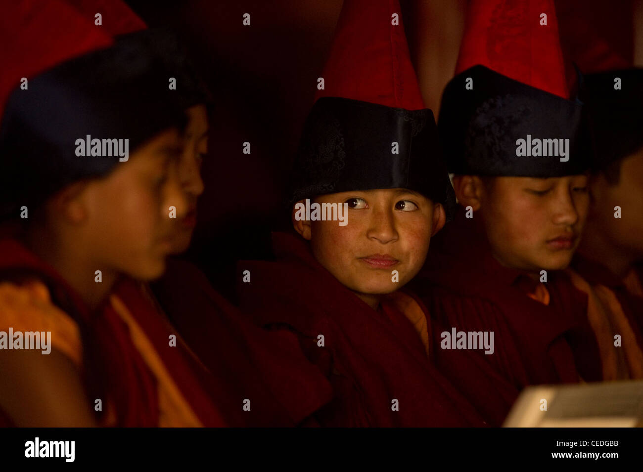 Les moines bouddhistes en Inde Sikkim Banque D'Images