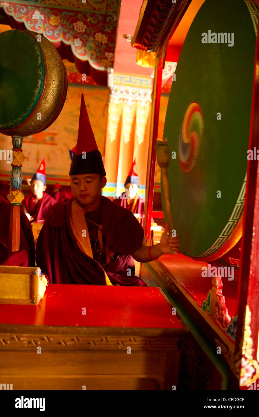 Le moine bouddhiste à jouer de la batterie dans une cérémonie inisde Losar un monastère, Sikkim, Inde Banque D'Images
