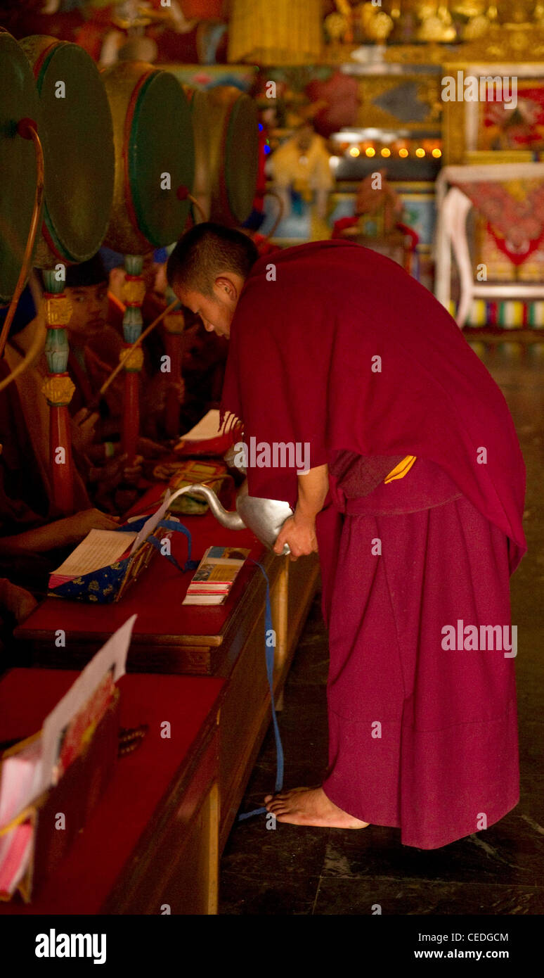 Le moine bouddhiste de verser du thé pour les moines au cours d'une cérémonie de chants, Sikkim, Inde Banque D'Images