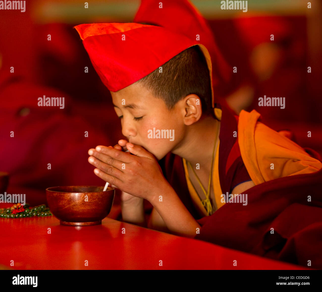 L'étudiant bouddhiste moine dans un monastère, Sikkim, Inde Banque D'Images