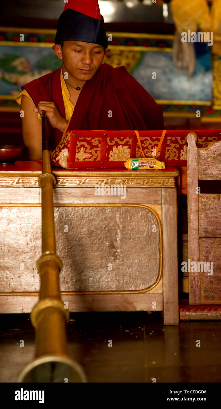 Le moine bouddhiste jouant la corne de cérémonie au cours d'une cérémonie à l'intérieur d'un chant Losar monastère, le Sikkim, Inde Banque D'Images