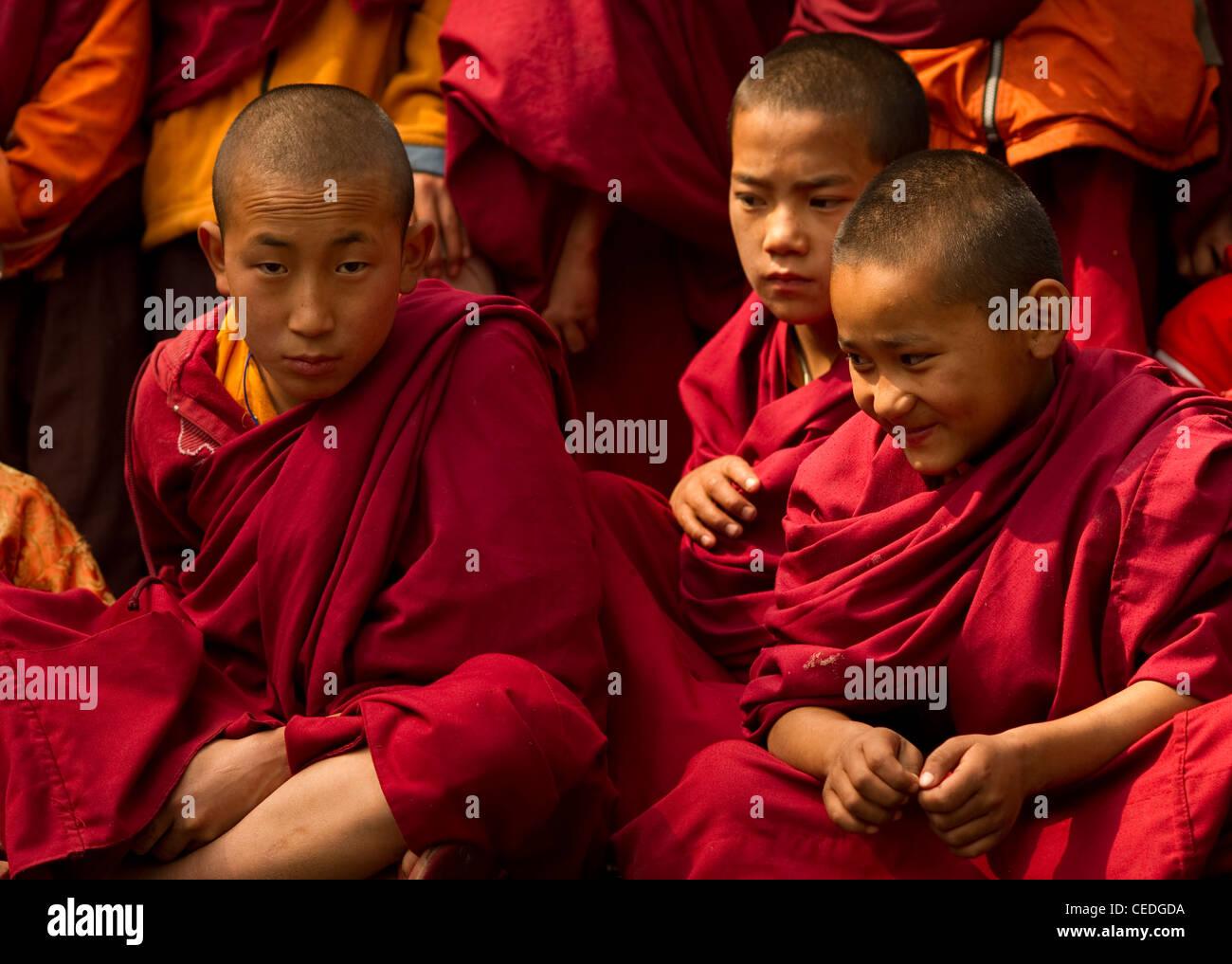 Un moment dans la journée d'un moine bouddhiste, Sikkim, Inde Banque D'Images