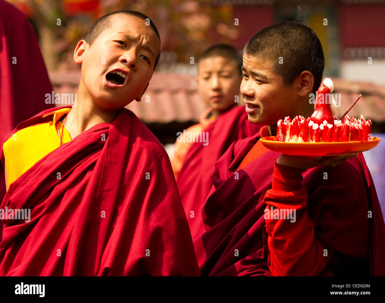 Les moines bouddhistes dans un Losar cérémonie, Sikkim, Inde Banque D'Images