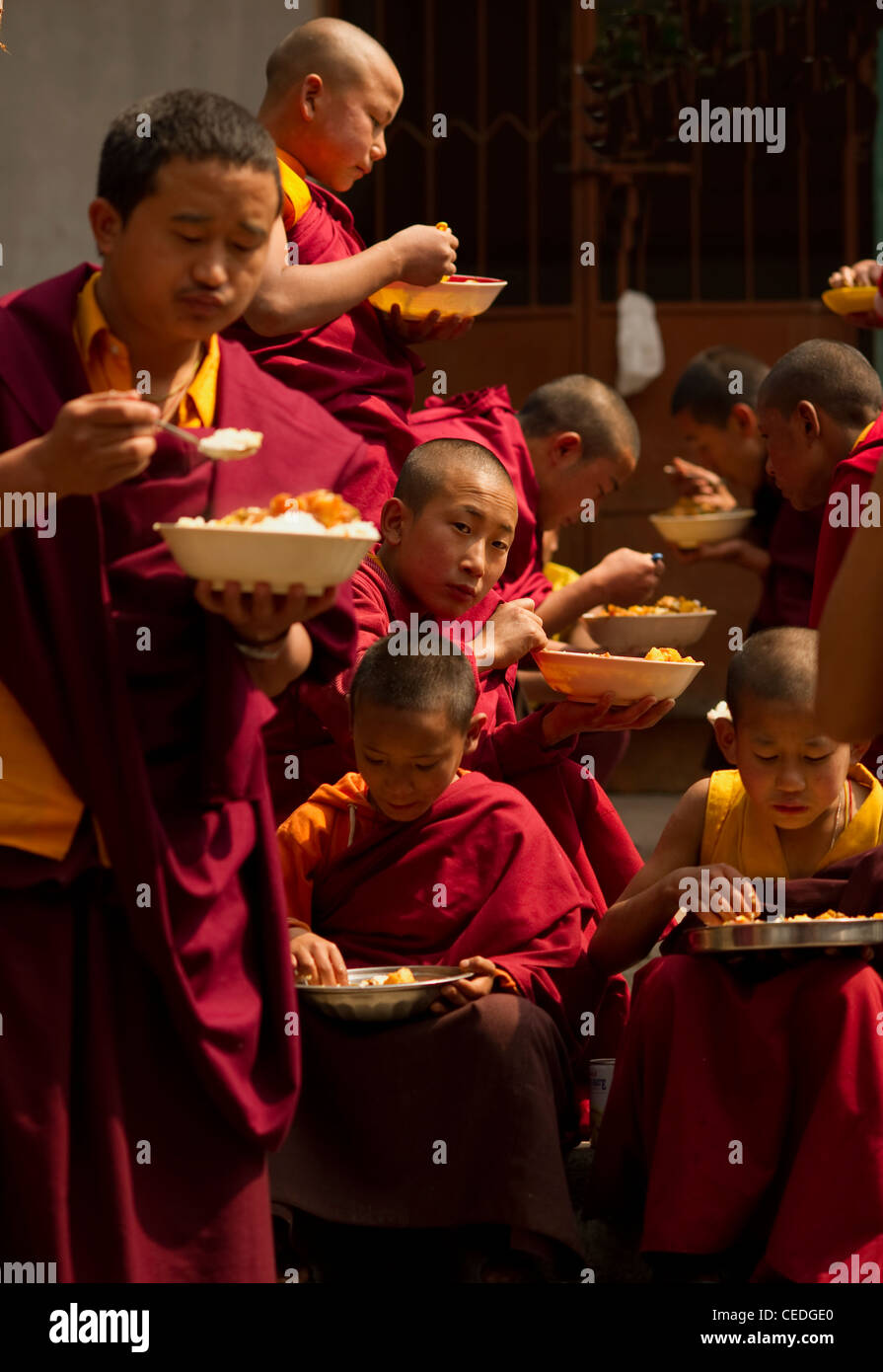 Des moines bouddhistes à pause déjeuner au Sikkim, Inde Banque D'Images
