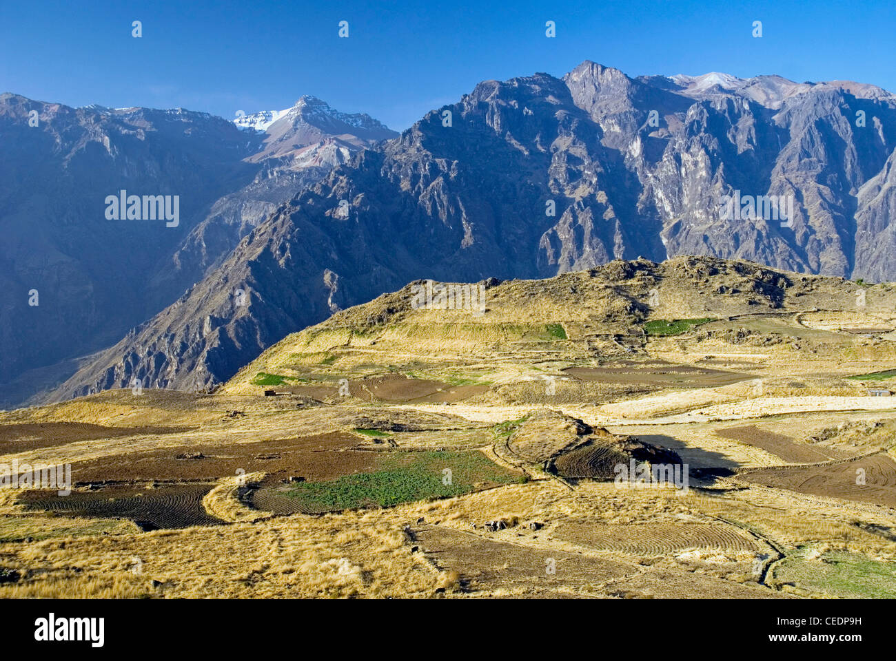 Le Pérou, le Canyon de Colca, paysage Banque D'Images