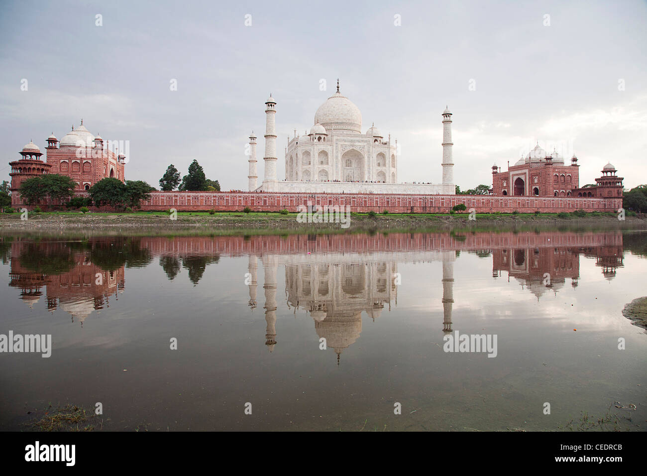L'Inde, Agra, Taj Mahal Banque D'Images