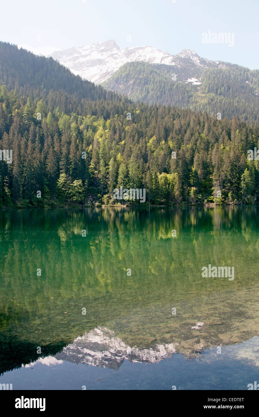 L'Italie, Trentin-Haut-Adige, Parc Naturel Adamello Brenta, lac Tovel avec les Dolomites de Brenta Banque D'Images