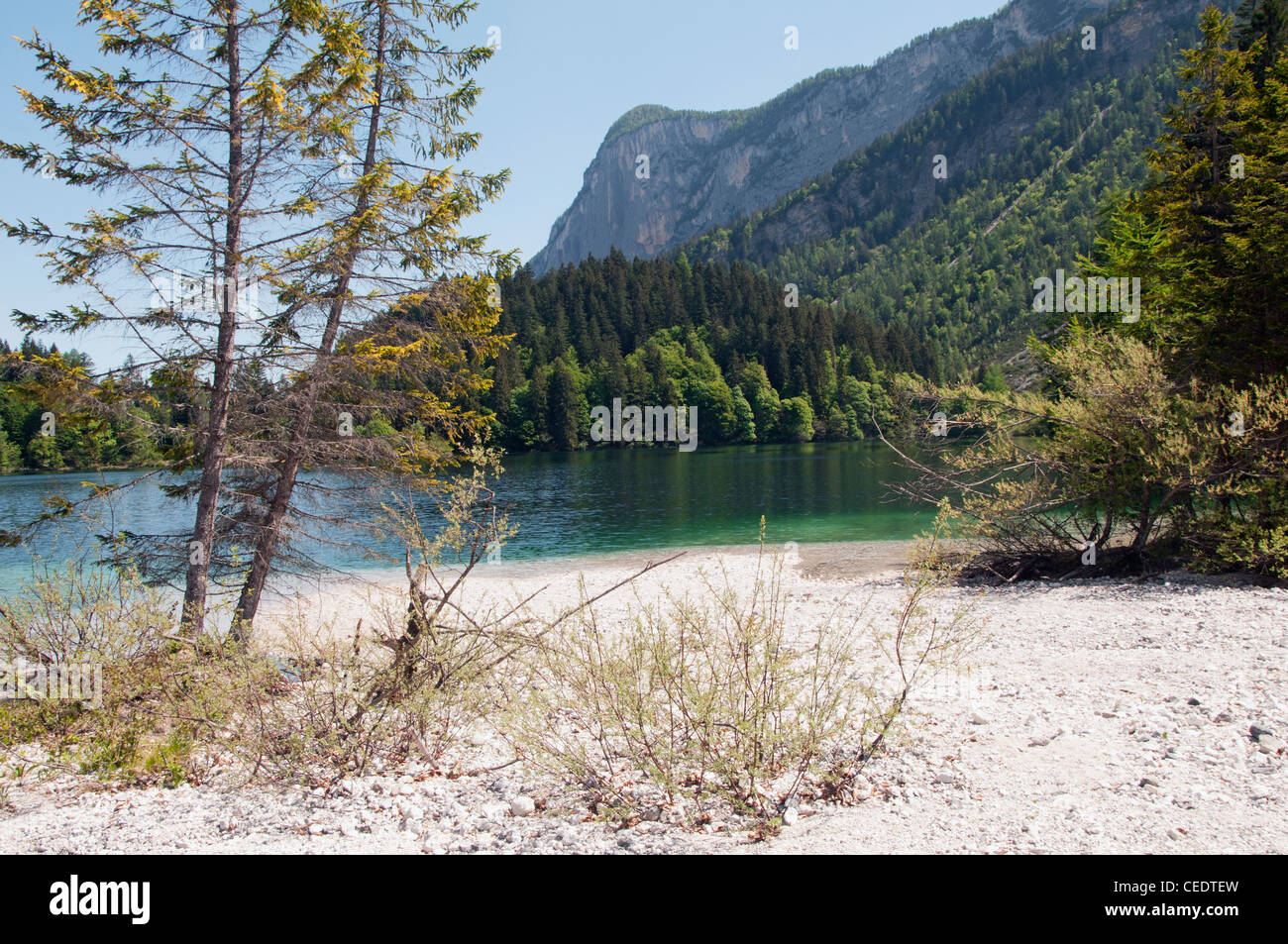 L'Italie, Trentin-Haut-Adige, Parc Naturel Adamello Brenta, lac Tovel Banque D'Images