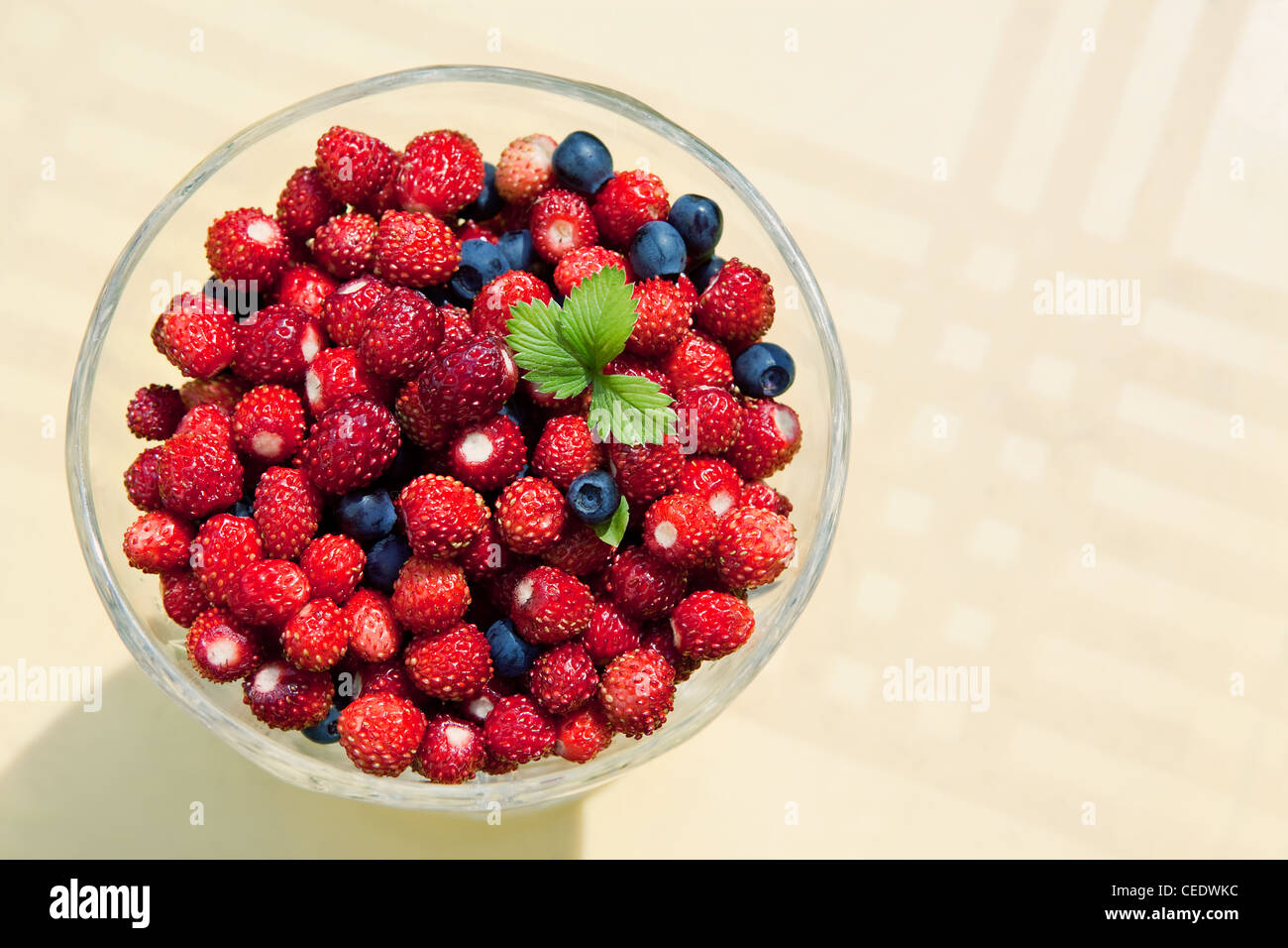 Petits fruits frais de la forêt dans la tasse en verre sur une nappe Banque D'Images