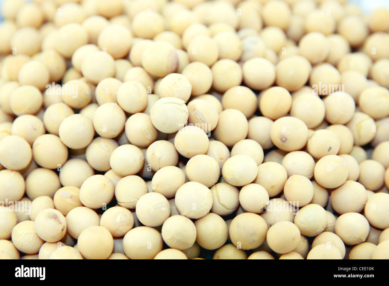 Fèves de soja Banque D'Images