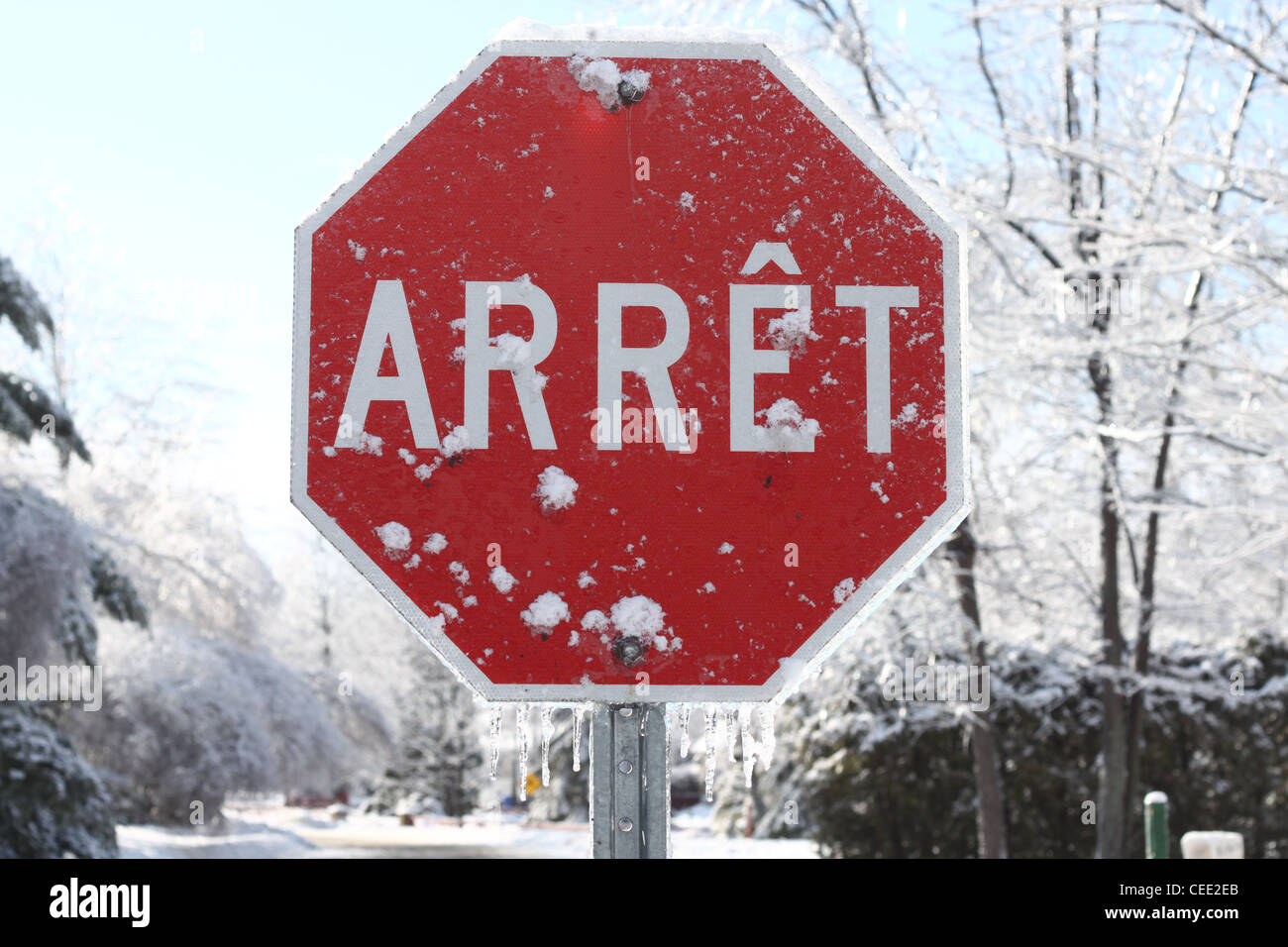 Panneau d'arrêt français recouvert de neige et de glace Banque D'Images