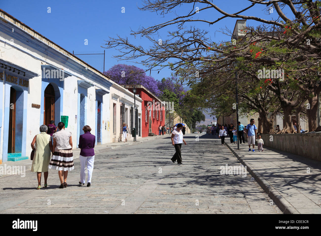 Scène de rue, la Ville d'Oaxaca, Oaxaca, Mexique, Amérique Latine Banque D'Images