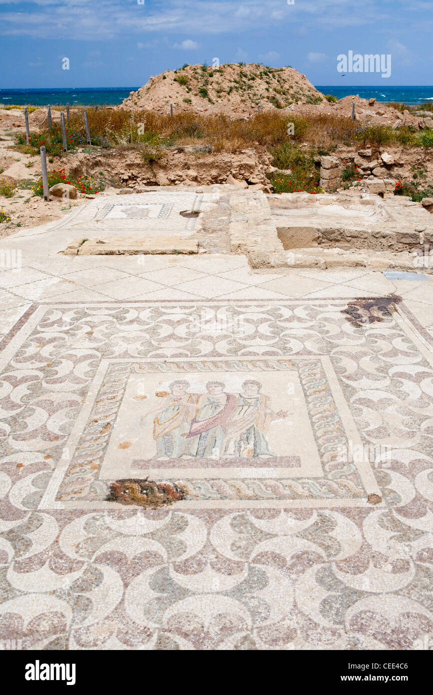 Mosaïques de la maison de Theseus Maison de Dionysos, Tombeaux des rois, Pafos, Chypre Banque D'Images