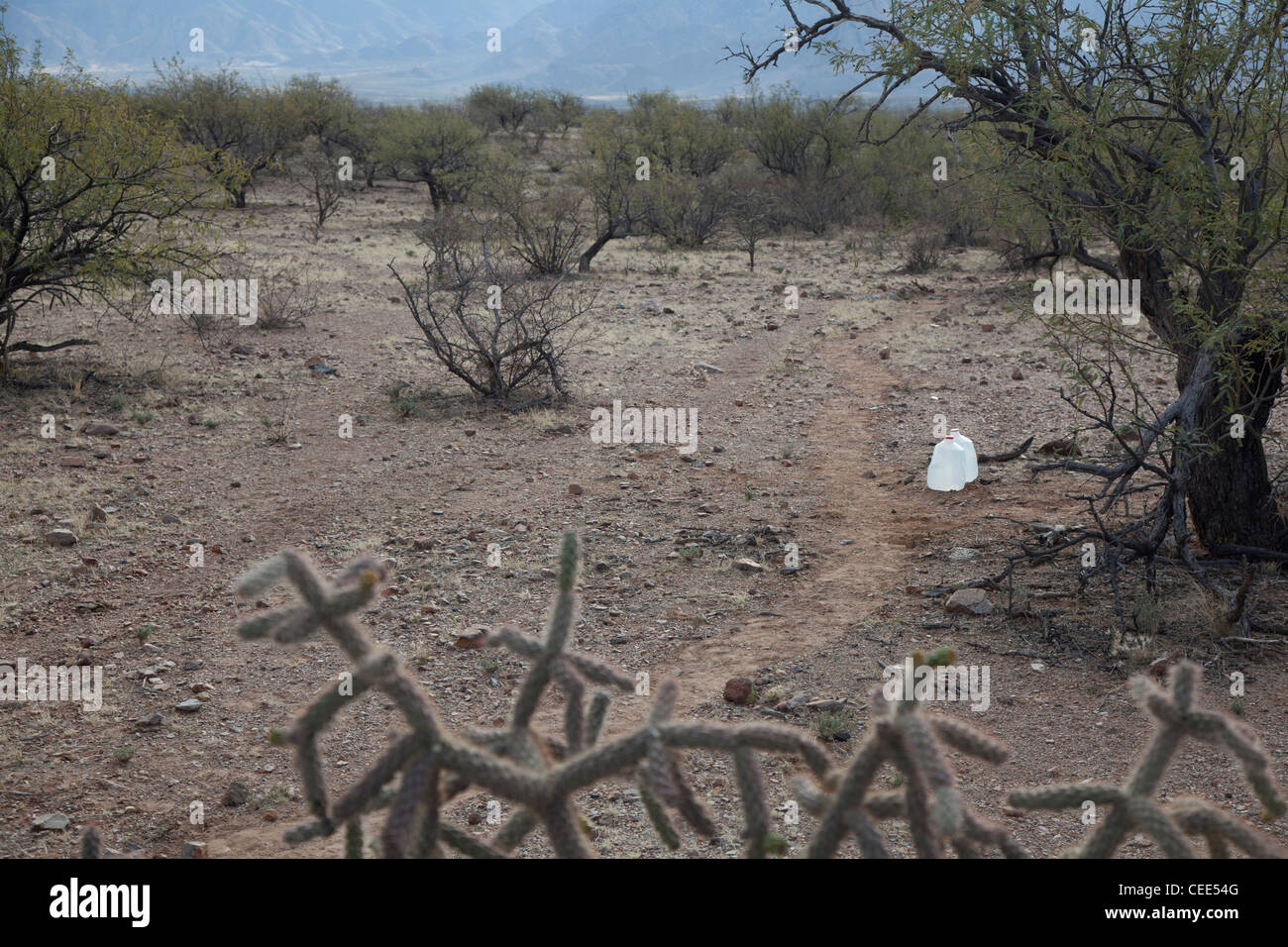 L'eau dans le désert de l'Arizona afin de prévenir les décès de migrants au passage de la frontière Banque D'Images