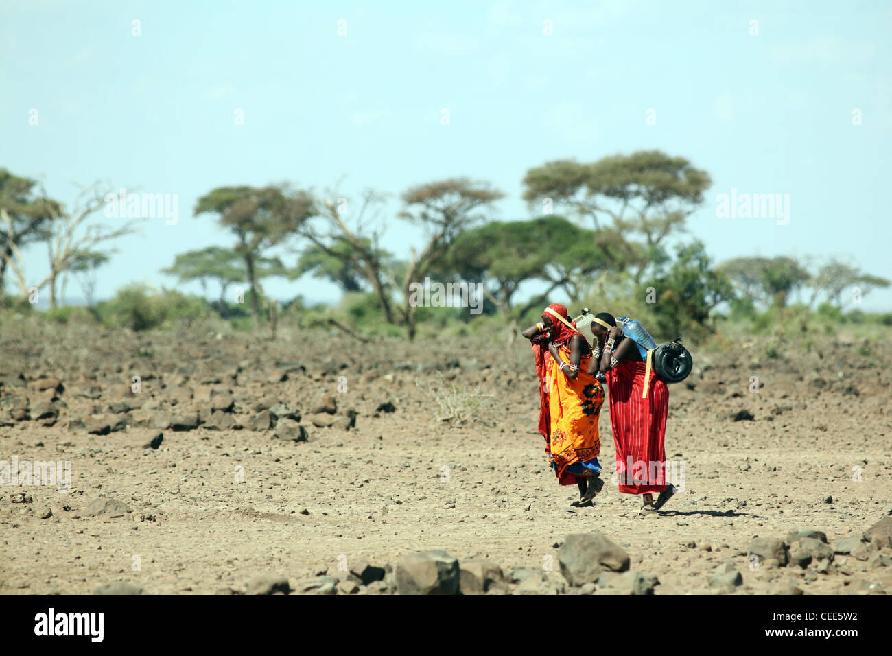 Les femmes masaï portant de l'eau, le Parc national Amboseli, Kenya, Afrique de l'Est. Banque D'Images