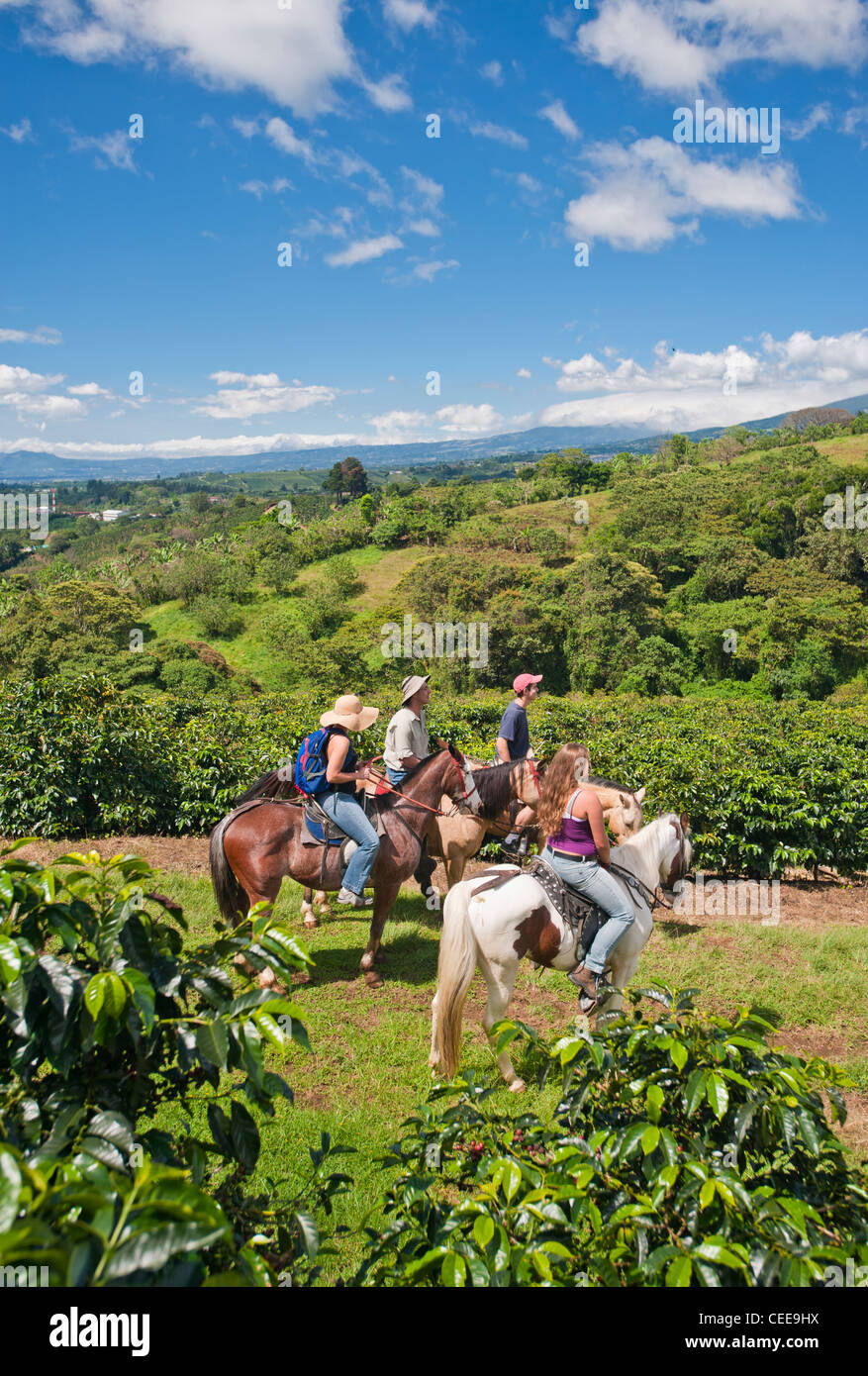 Les touristes en randonnée dans les montagnes du Costa Rica Banque D'Images