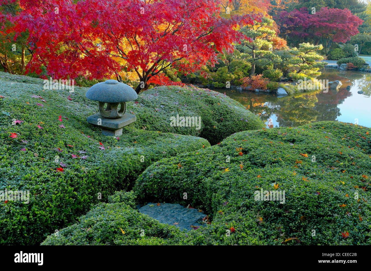 La lanterne de pierre, Momiji Jardin Japonais, Hastings Park, Vancouver, British Columbia, Canada Banque D'Images