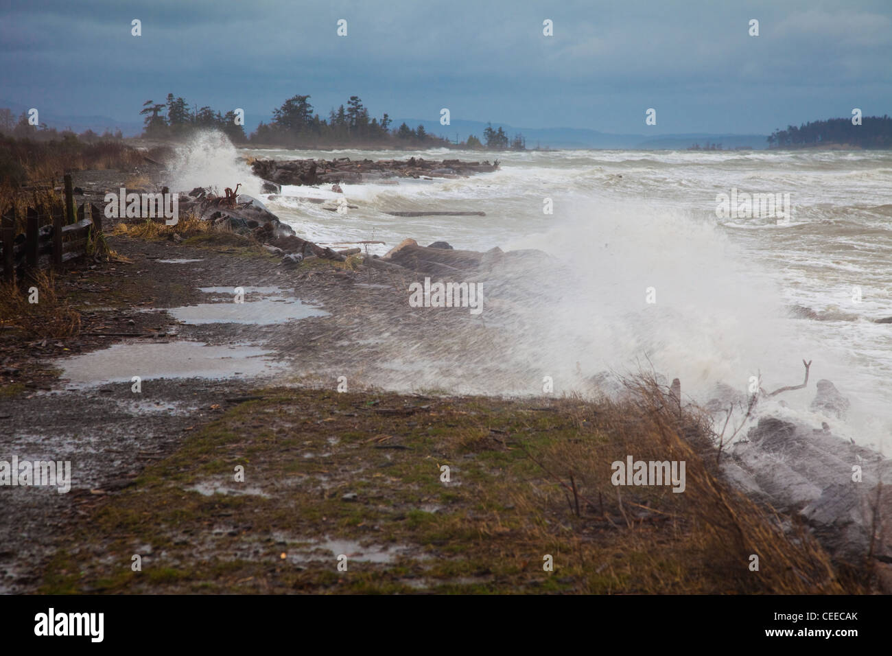 Vagues Rouleaux Se Brisant Sur Le Rivage De La Plage Banque d'image et ...