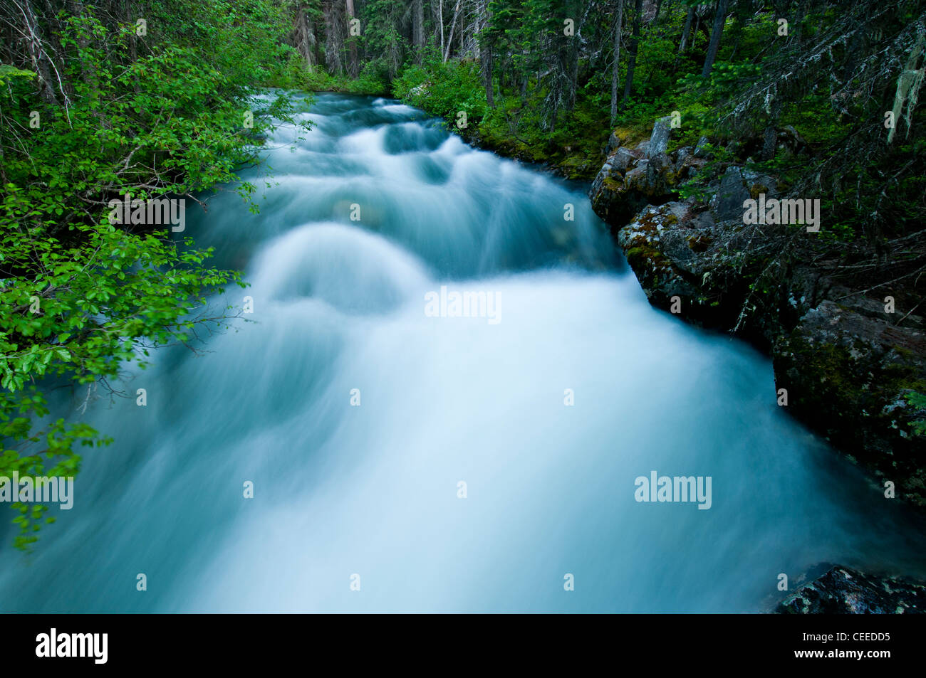 La rivière Lostine dans l'Eagle Cap nature sauvage dans la forêt nationale dans le nord-est de Wallowa-Whitman Oregon Banque D'Images