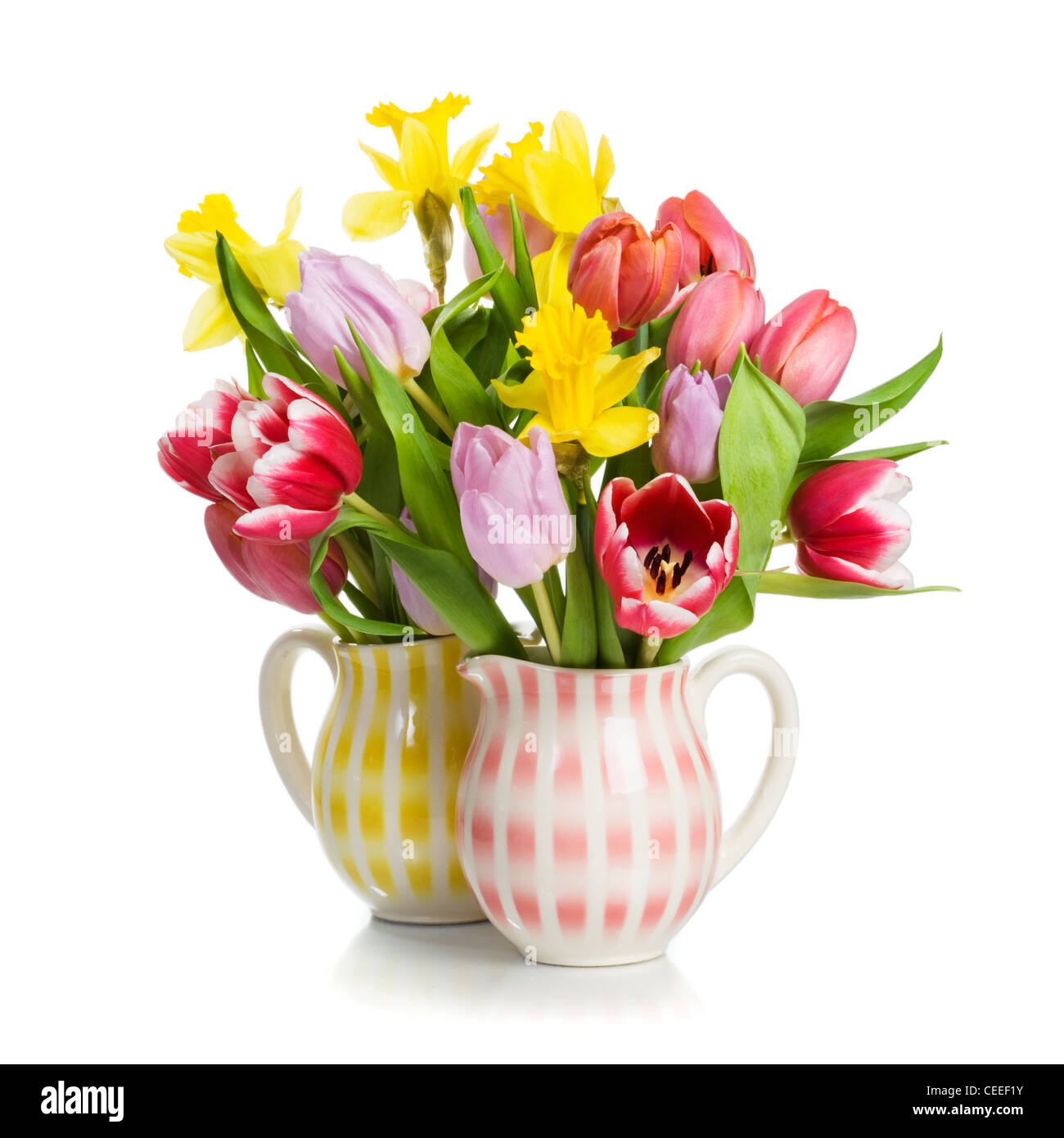 Deux pichets avec des tulipes et des jonquilles sur fond blanc Banque D'Images