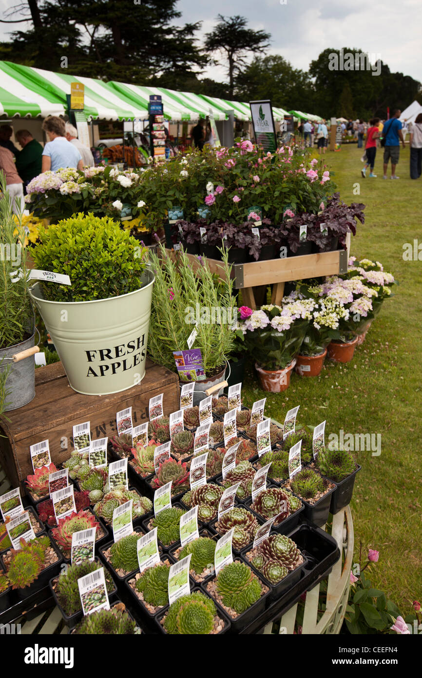 Royaume-uni, Angleterre, Bedfordshire, Woburn Abbey Garden Show, les plantes alpines à vendre Banque D'Images