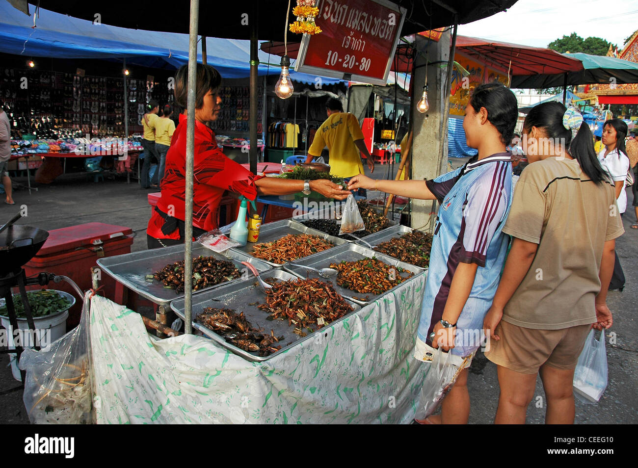Les étals de nourriture insectes frits, Bangkok, Thaïlande. Banque D'Images