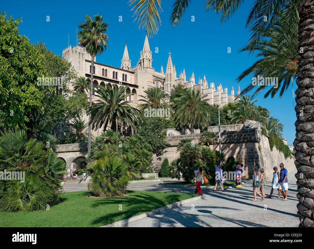 Parc de la cathédrale de Palma de Majorque Espagne Baléares Mar Banque D'Images