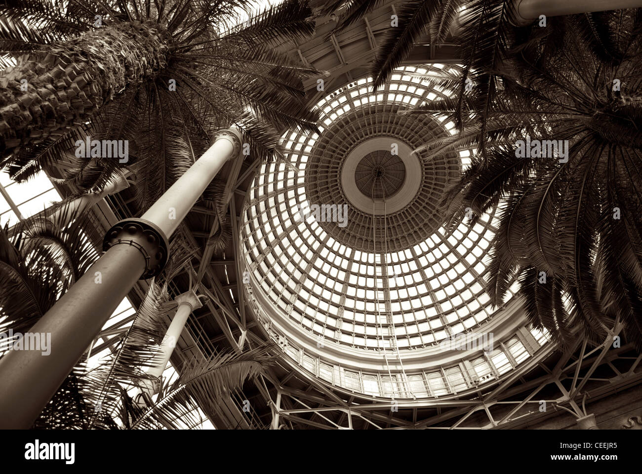 L'INTÉRIEUR DU DÔME GLYPTOTEKET Banque D'Images