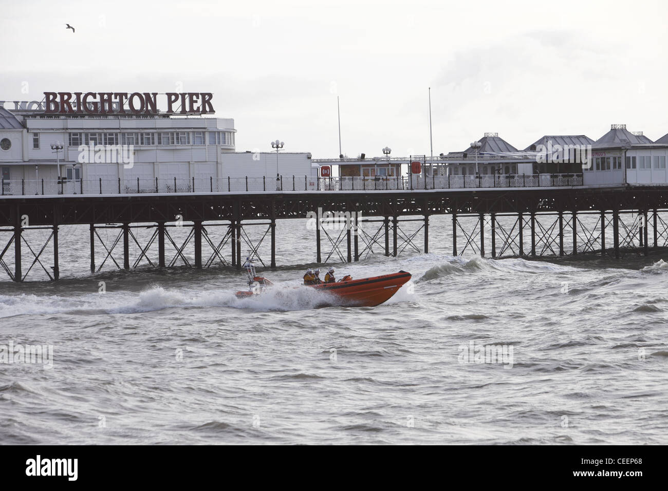 La vie de la RNLI voile garde un œil sur les nageurs durant la journée annuelle de Noël originaux nager, Brighton, East Sussex, Angleterre Banque D'Images