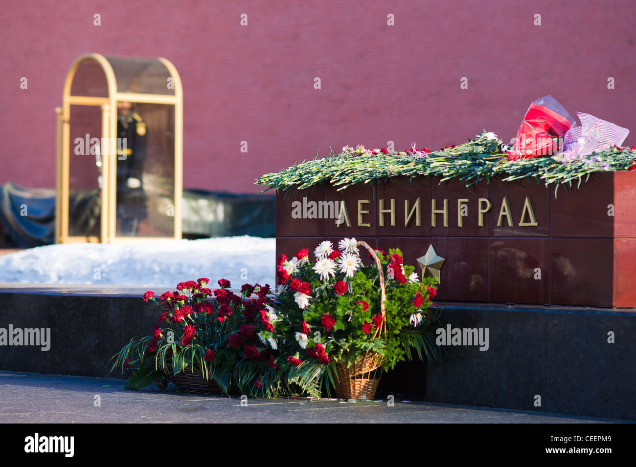 Fleurs pour la tombe de Leningrad-hero city pour commémorer 68-ème anniversaire de la création d'un blocus de la ville fasciste Banque D'Images