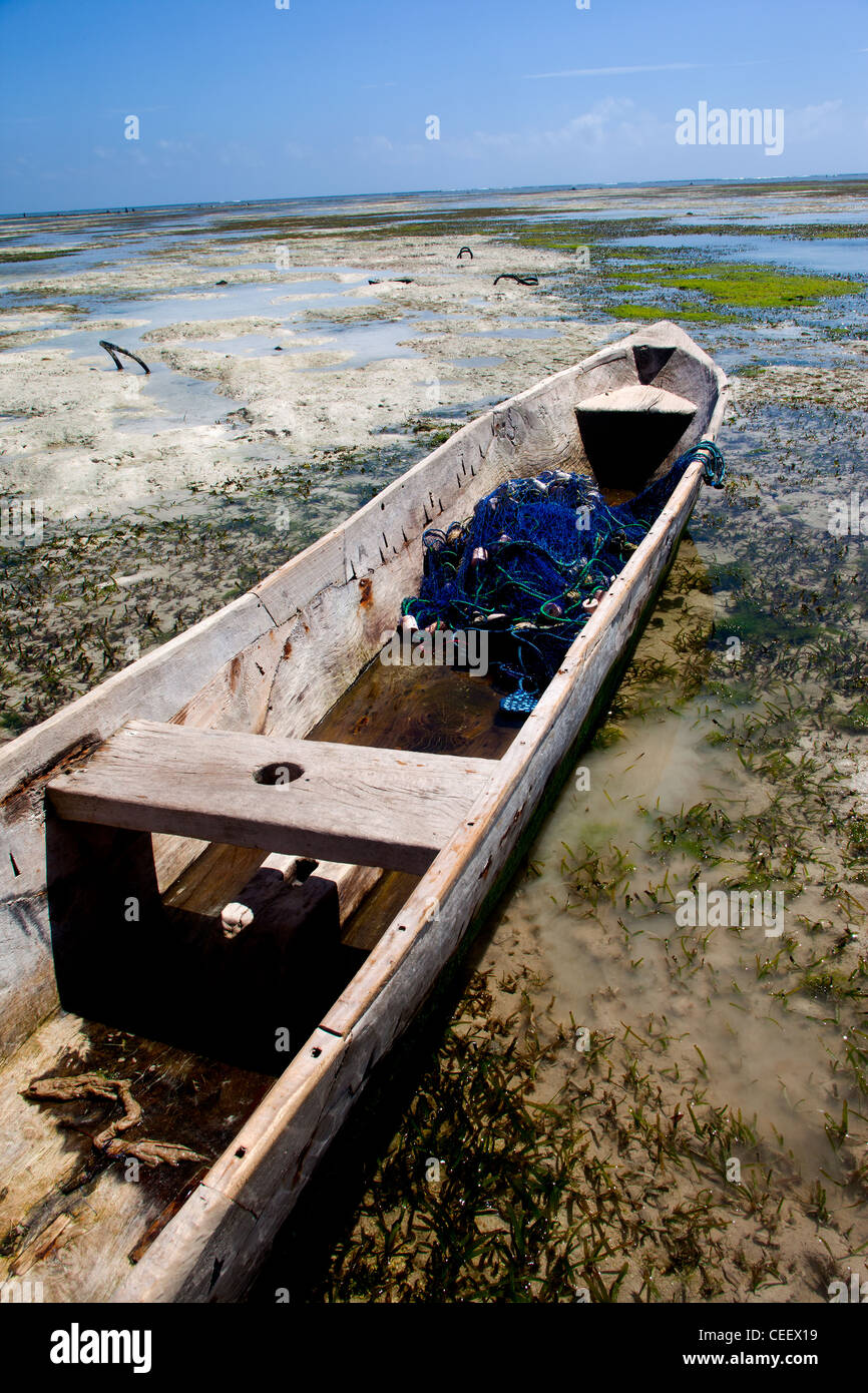 Filet de pêche bleu dans le fond d'un boutre en bois à marée basse sur les récifs coralliens à Bwejuu, Zanzibar, Tanzanie Banque D'Images