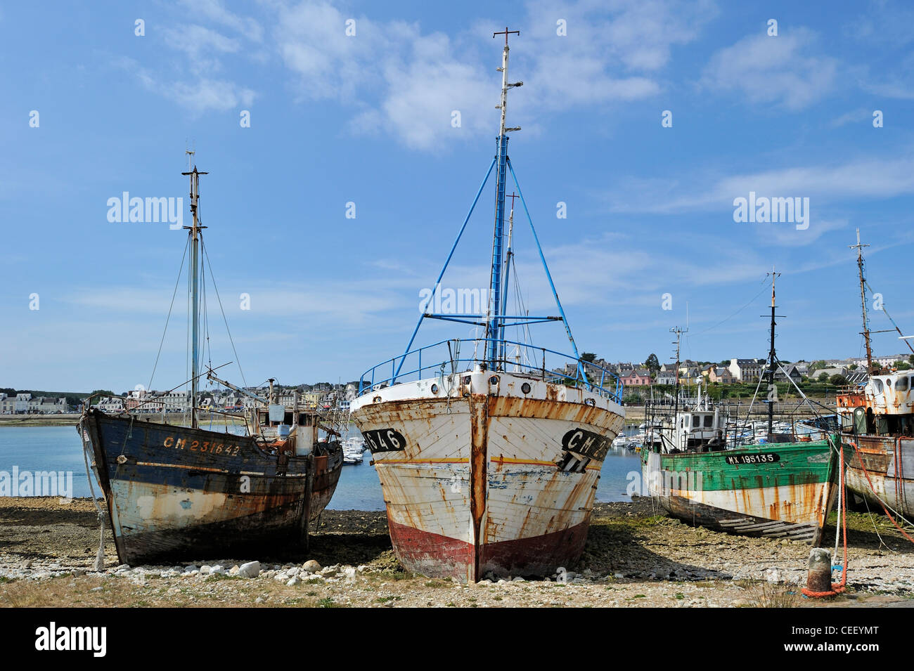 Les épaves de bateaux de pêche de chalutiers en bois dans le port de Camaret-sur-Mer, Finistère, Bretagne, France Banque D'Images