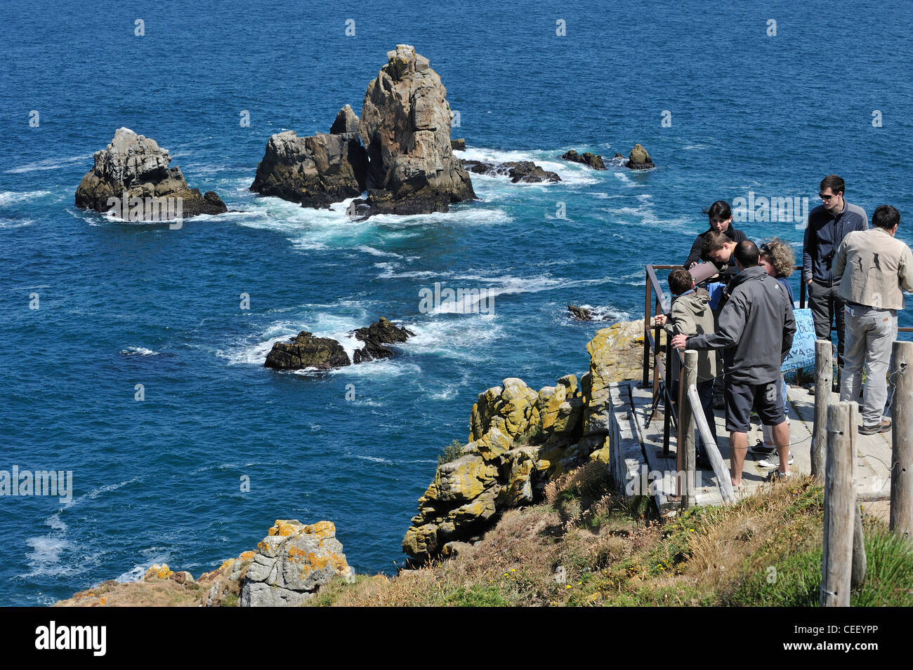 Les observateurs d'observation d'oiseaux de mer le long de la côte rocheuse du Cap de Sizun, réserve naturelle d'oiseaux et dans le Finistère, Bretagne Banque D'Images