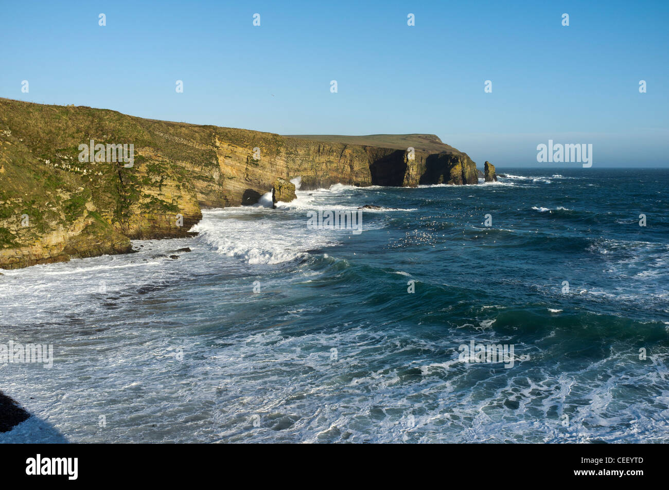 Dh Raymond Raymond ORCADES WINDWICK Tête vent seastack Rock Wick Bay sea surf Banque D'Images
