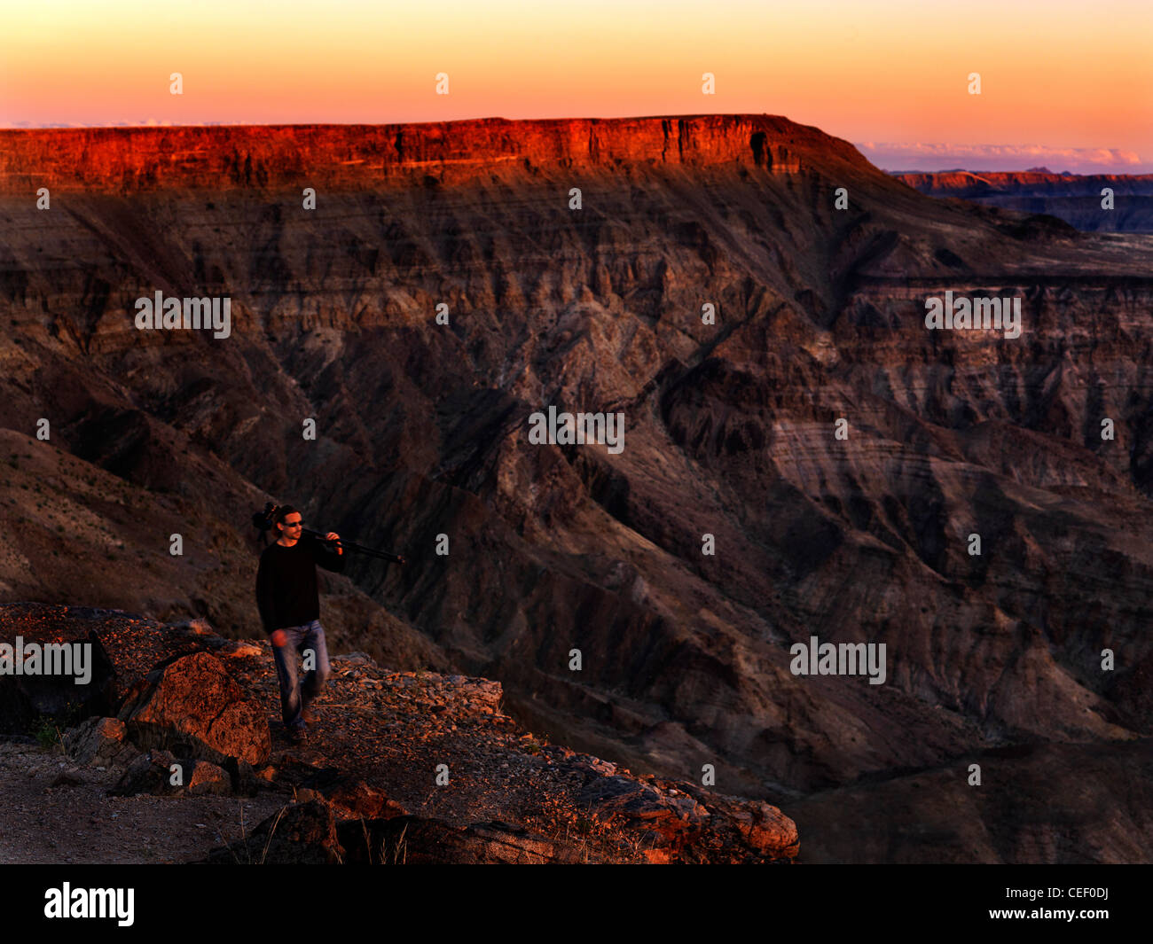 Kalahari désert africain Banque D'Images