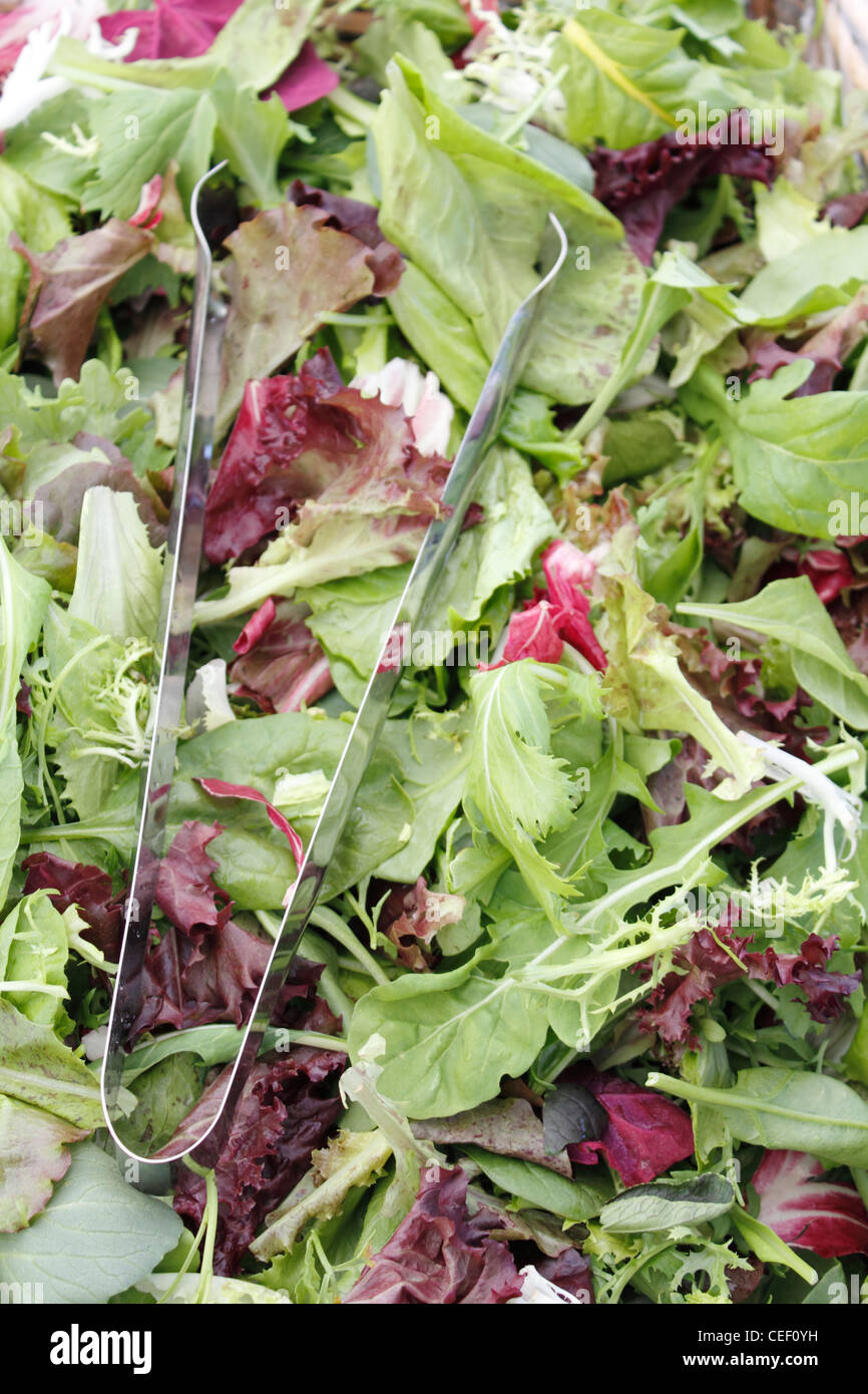 Grande quantité de matière organique, mélange de salade de légumes verts avec des pinces à la vente à un marché en plein air. Un bac de mélange mesclun de salade fraîche à la vente à un marché plein air Banque D'Images