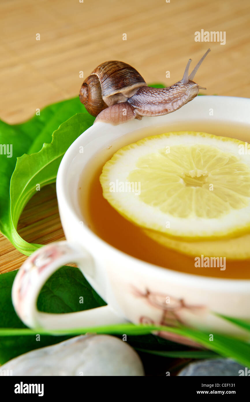 Tasse de thé vert avec du citron Banque D'Images