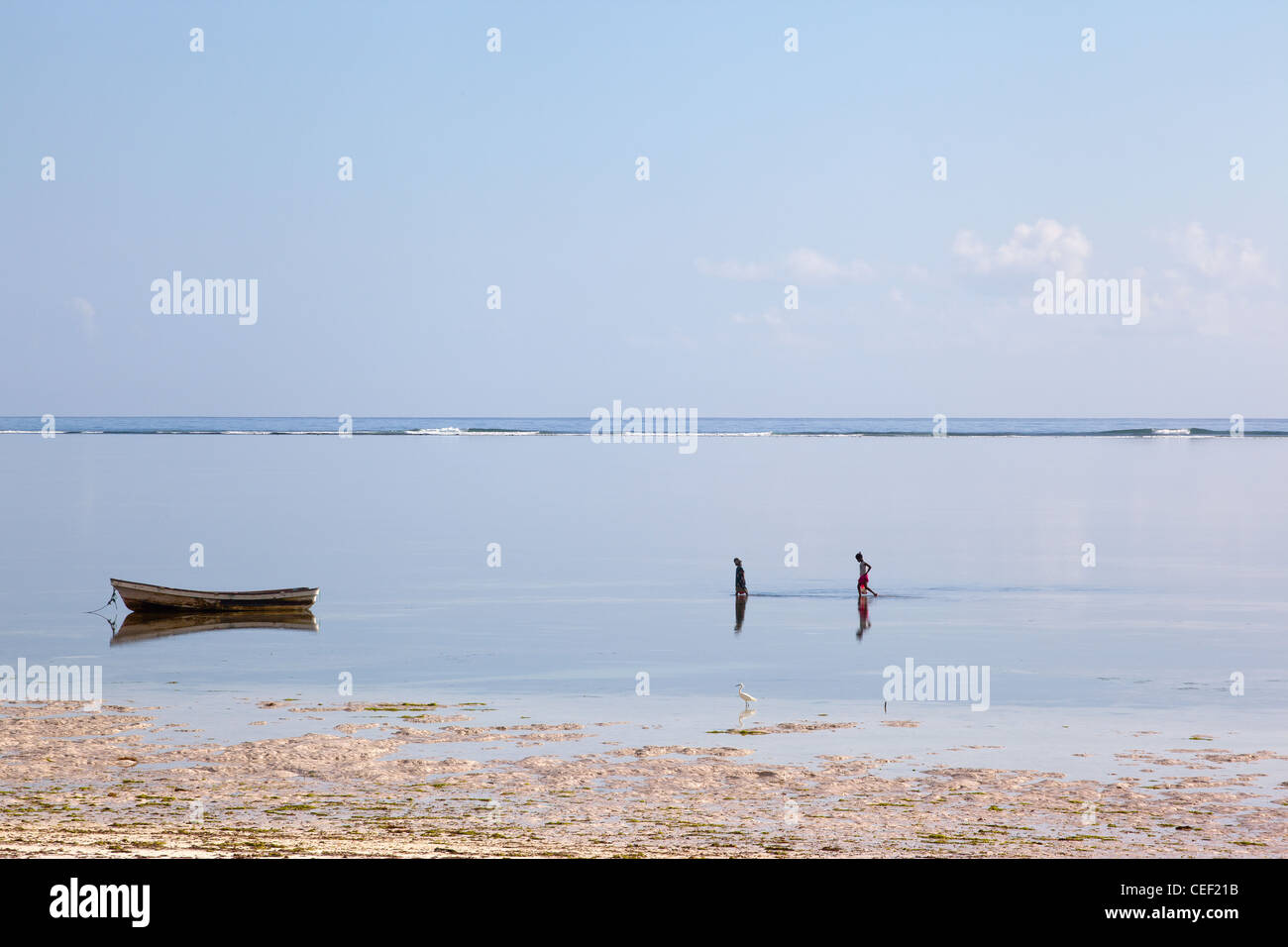 Deux filles du village de Zanzibar sortir pour attraper le poulpe dans la mer à marée basse sur les récifs coralliens à Bwejuu, Zanzibar, Tanzanie Banque D'Images