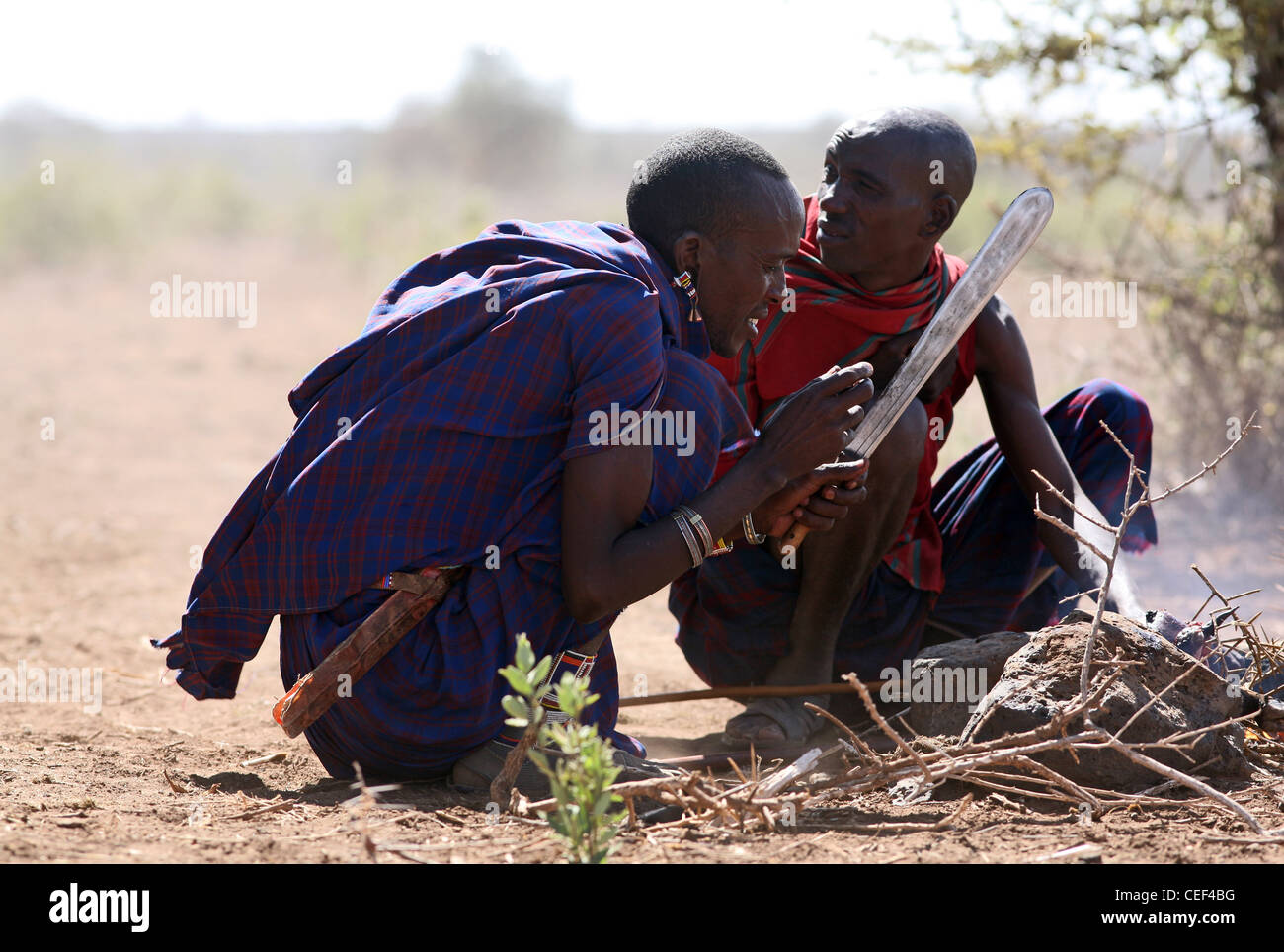 Les hommes masaï près de leur village dans le Parc national Amboseli, Kenya, Afrique de l'Est. Banque D'Images