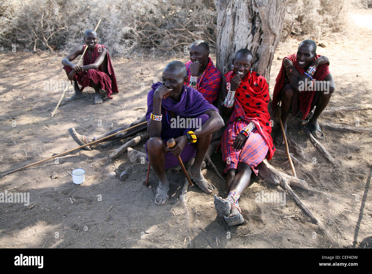 Les hommes masaï près de leur village dans le Parc national Amboseli, Kenya, Afrique de l'Est. Banque D'Images