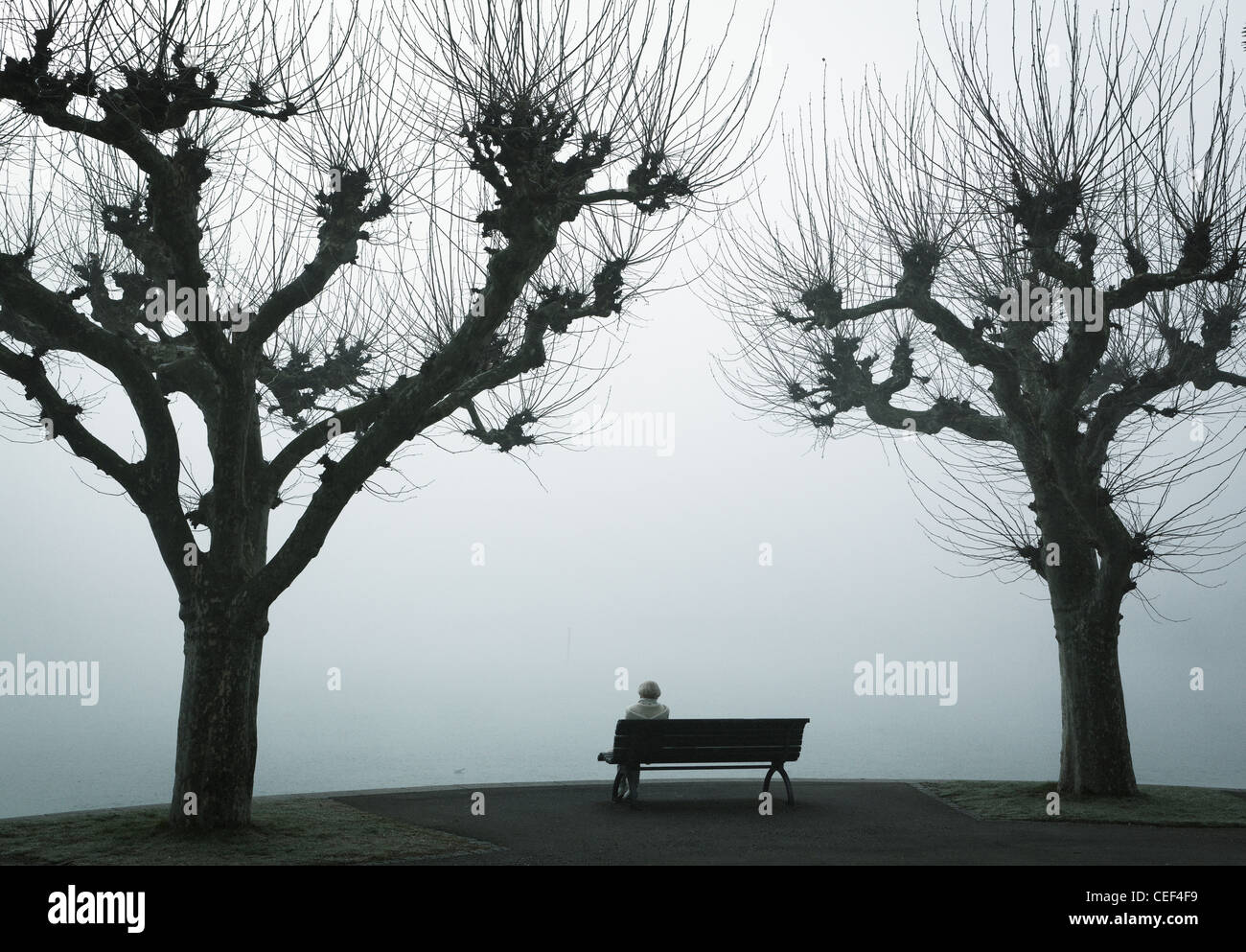 Personne solitaire est assis sur un banc,Lac de Constance, Constance Bodensee,Badden-Wurtemberg,Allemagne, Banque D'Images