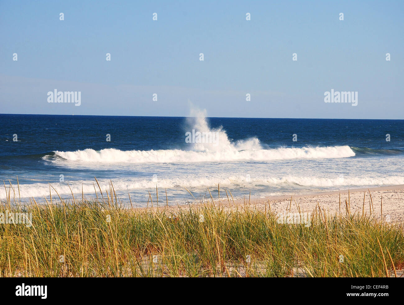 La mer,l'océan vagues,surf,herbe,sable,paysage,horizon, Banque D'Images