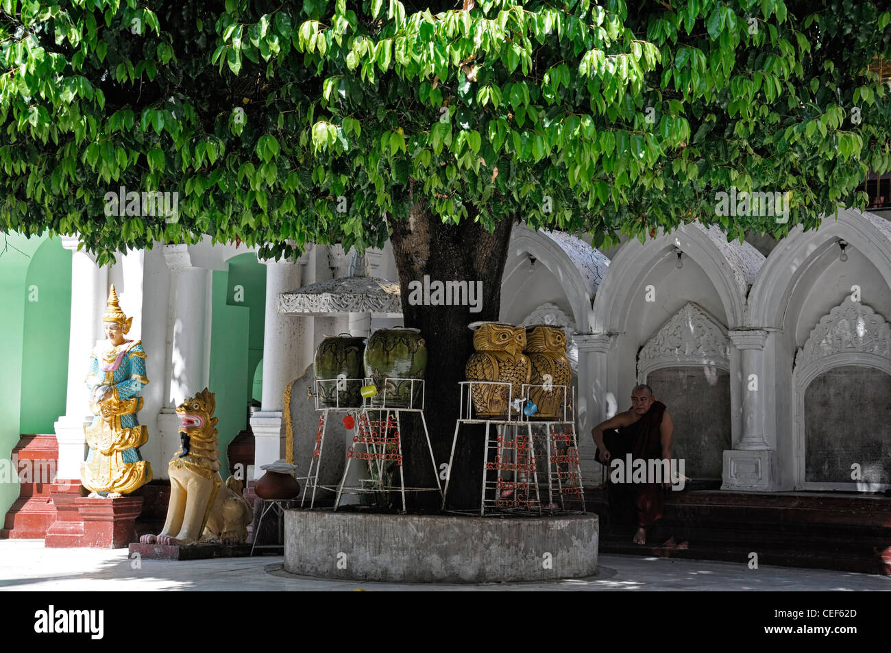 Asseoir moine assis à l'ombre de l'ombre sous l'arbre sous l'urne unrs vente de souvenirs Souvenirs de la pagode Shwedagon à Yangon myanmar Banque D'Images
