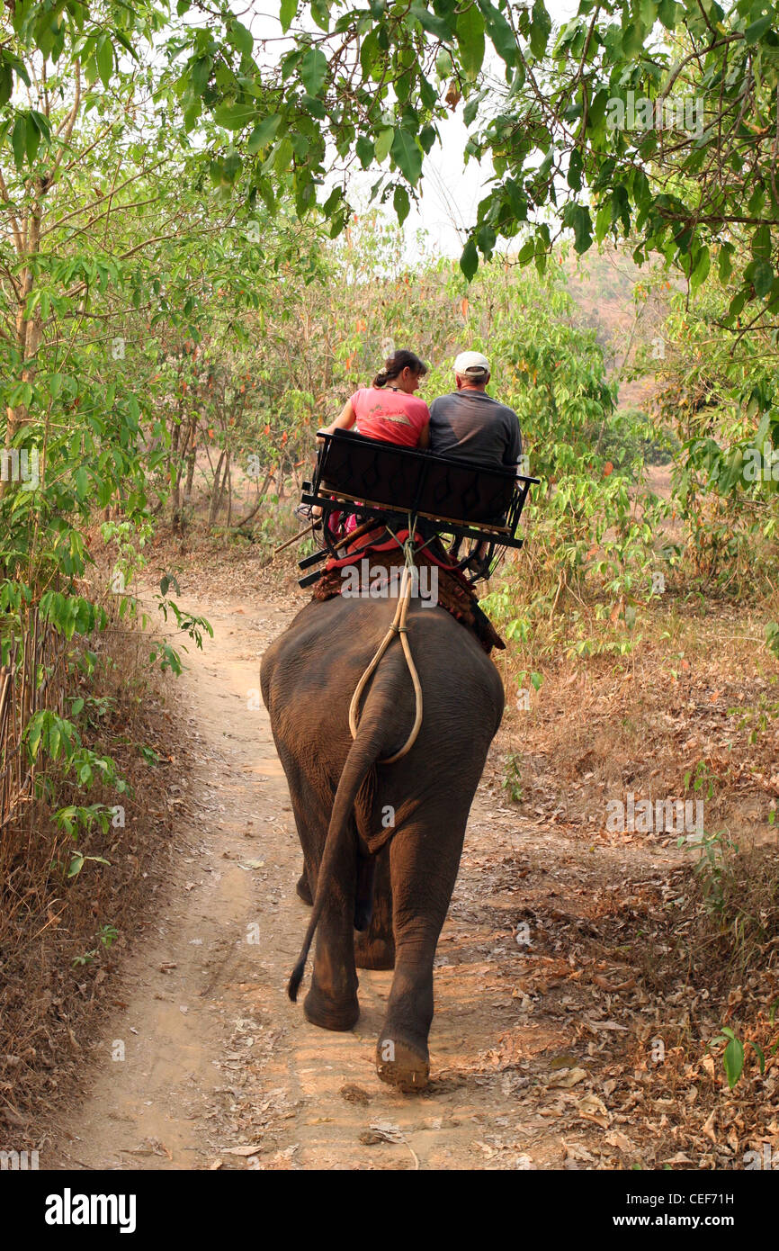 Les touristes appréciant un tour en éléphant, Ruammit village, province de Chiang Rai en Thaïlande. Banque D'Images