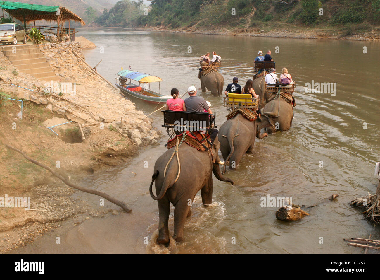 Les touristes appréciant un éléphant à travers la rivière Kok, Ruammit village, province de Chiang Rai en Thaïlande. Banque D'Images