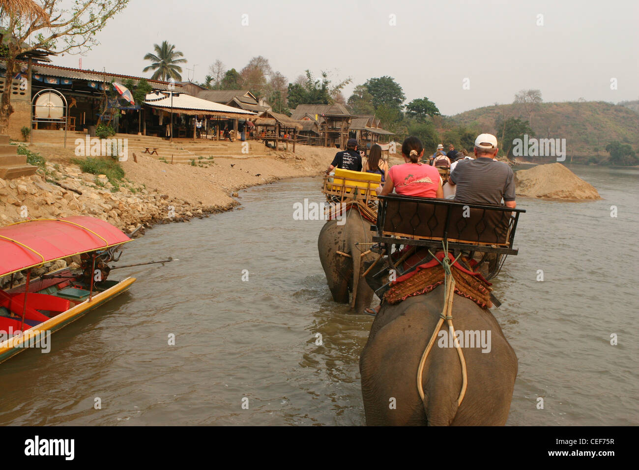 Les touristes appréciant un éléphant à travers la rivière Kok, Ruammit village, province de Chiang Rai en Thaïlande. Banque D'Images