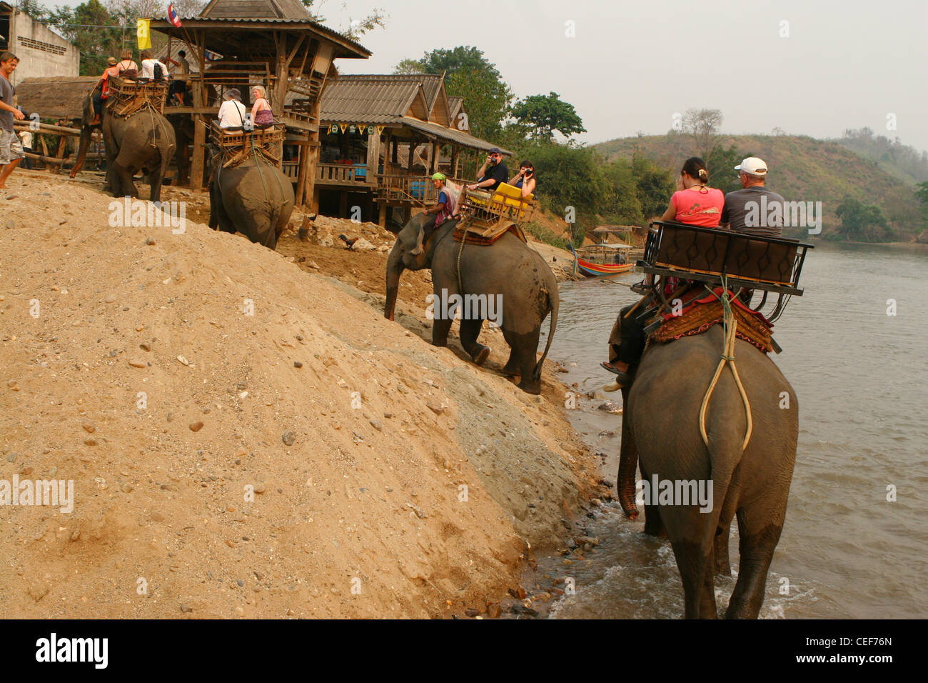 Les touristes appréciant un éléphant à travers la rivière Kok, Ruammit village, province de Chiang Rai en Thaïlande. Banque D'Images