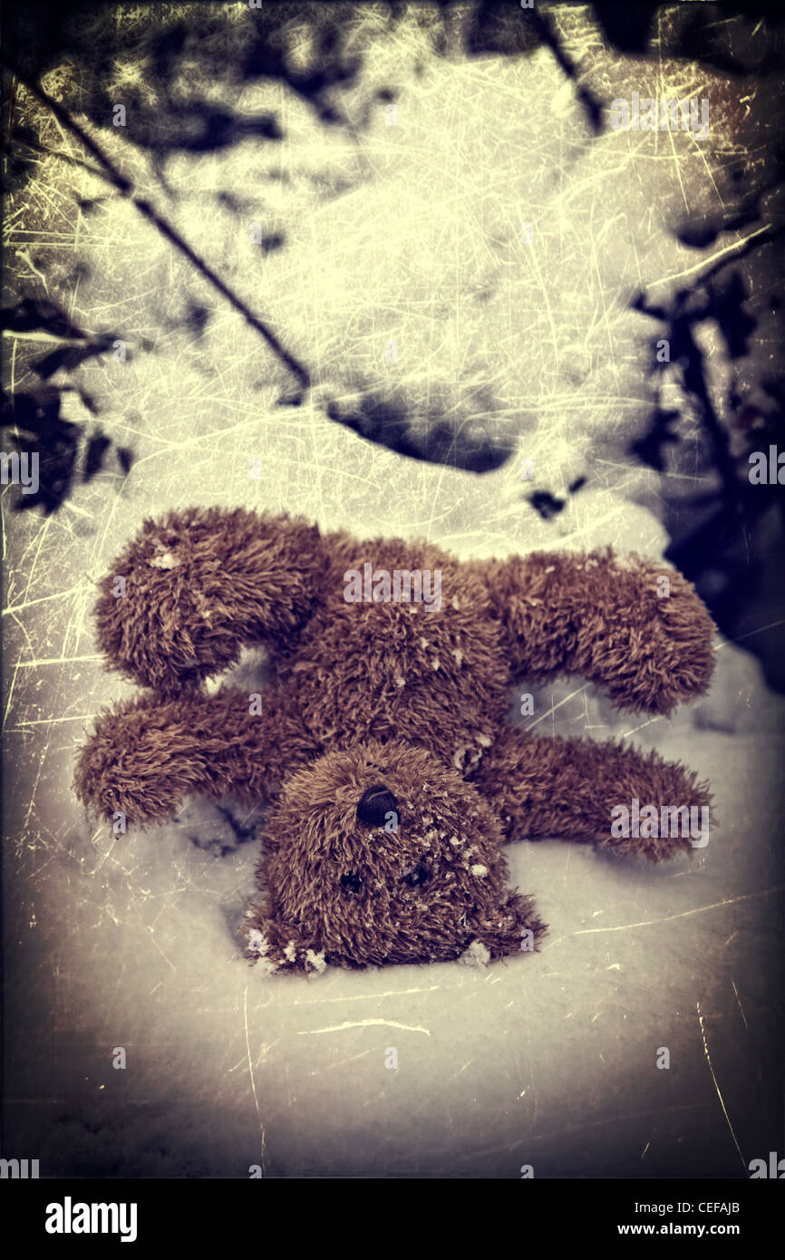 Un ours dans la neige Banque D'Images